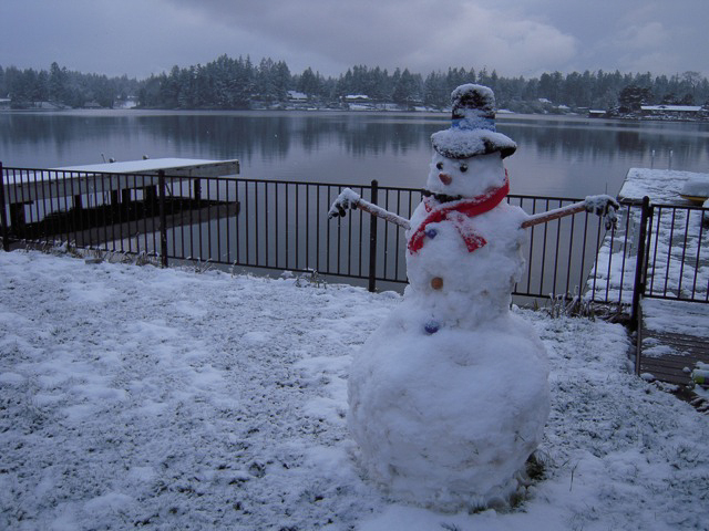 Lake snowman